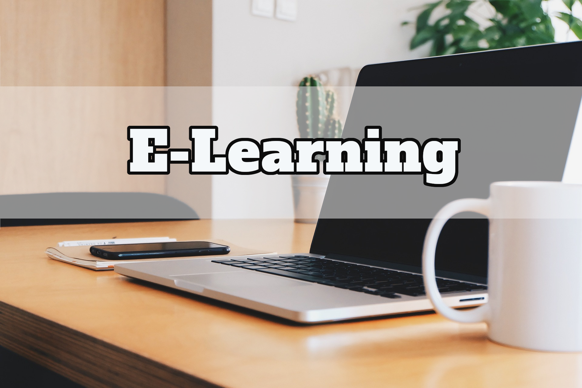 E-Learning - Eine steile Lernkurve mit Online Kursen